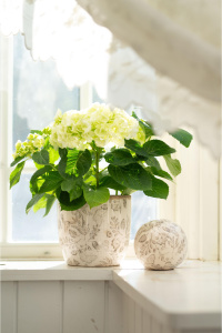 Kruka Melinda med beigea botaniska mönstret