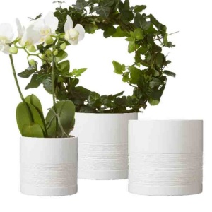 Kruka Chloe M Frilagd mot vit bakgrund