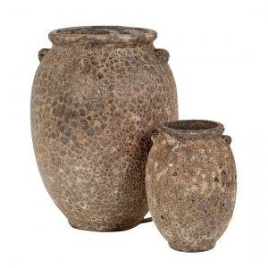 Kruka Nikolas L frilagd mot vit bakgrund. 